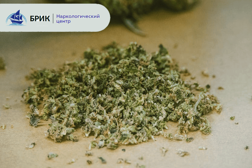 Как спайс действует на организм